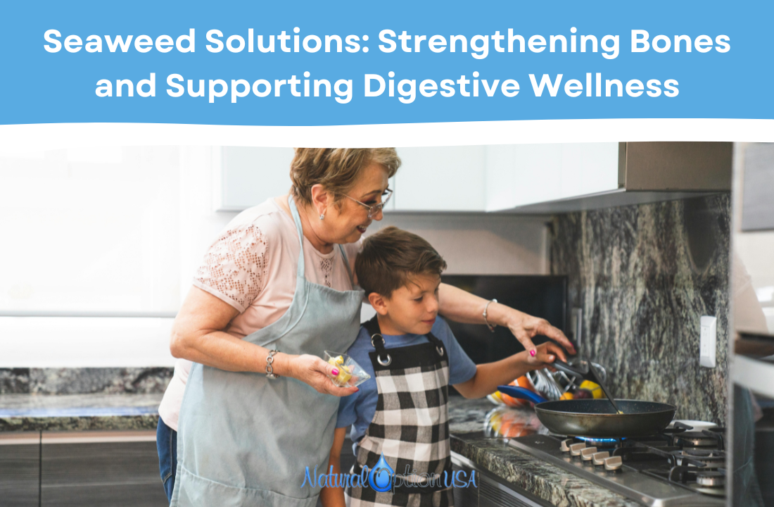 Seaweed Solutions: Strengthening Bones and Supporting Digestive Wellness
