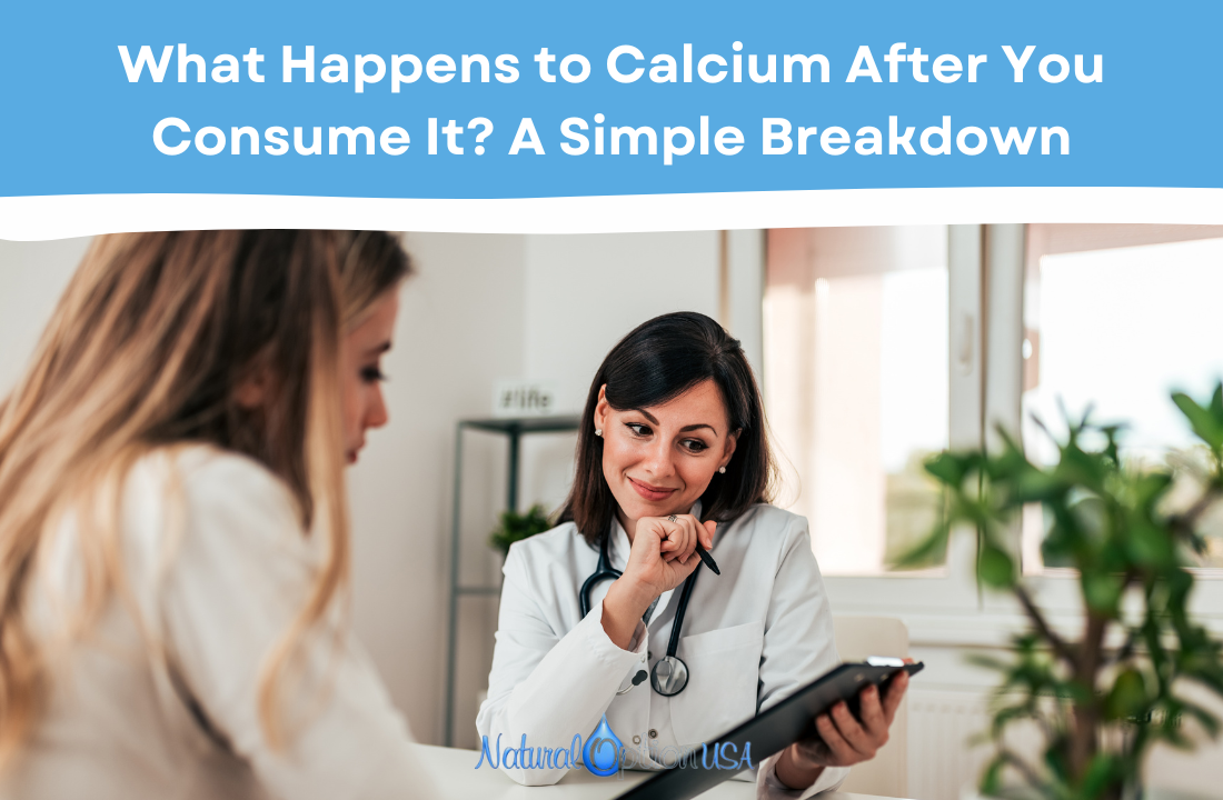 What Happens to Calcium After You Consume It? A Simple Breakdown