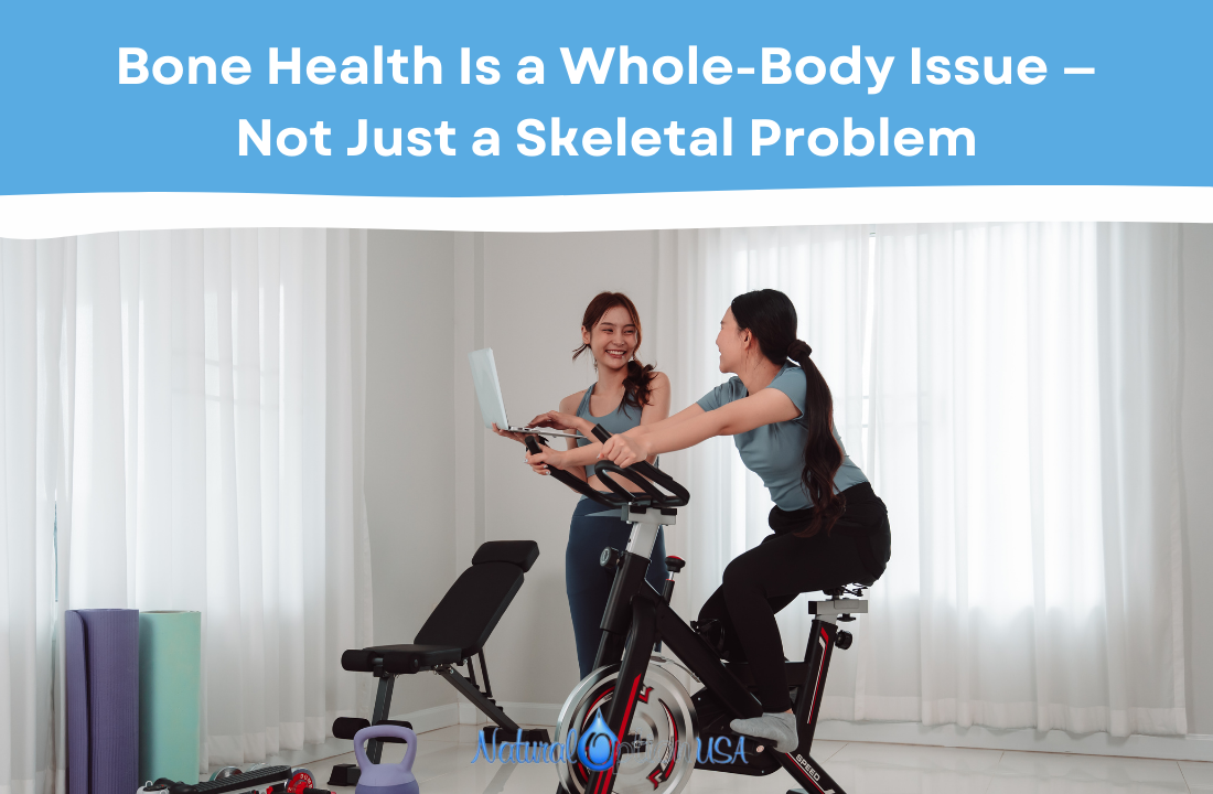 Bone Health Is a Full Body Issue, Not Just a Skeletal Problem