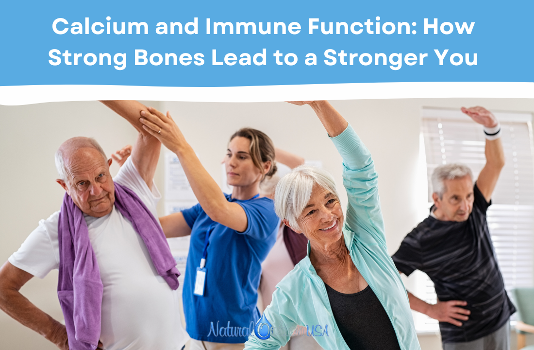 Calcium and Immune Function: How Strong Bones Lead to a Stronger You