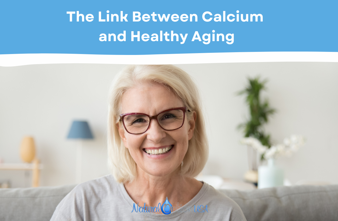 The Link Between Calcium and Healthy Aging
